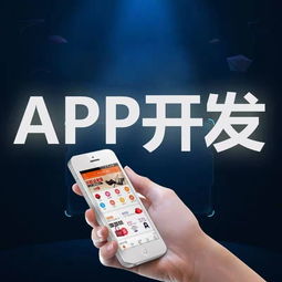 廈門(mén)市安卓蘋(píng)果APP軟件開(kāi)發(fā)外包定制服務(wù) 構(gòu)建數(shù)字化未來(lái)的橋梁